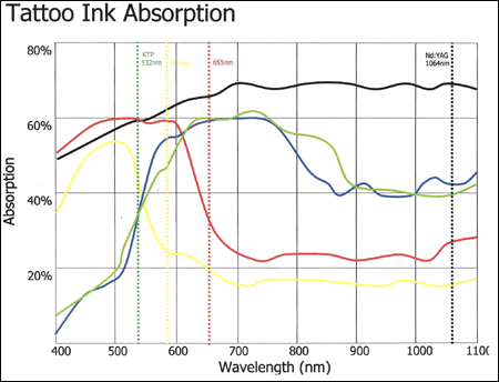 tatoo ink absorption