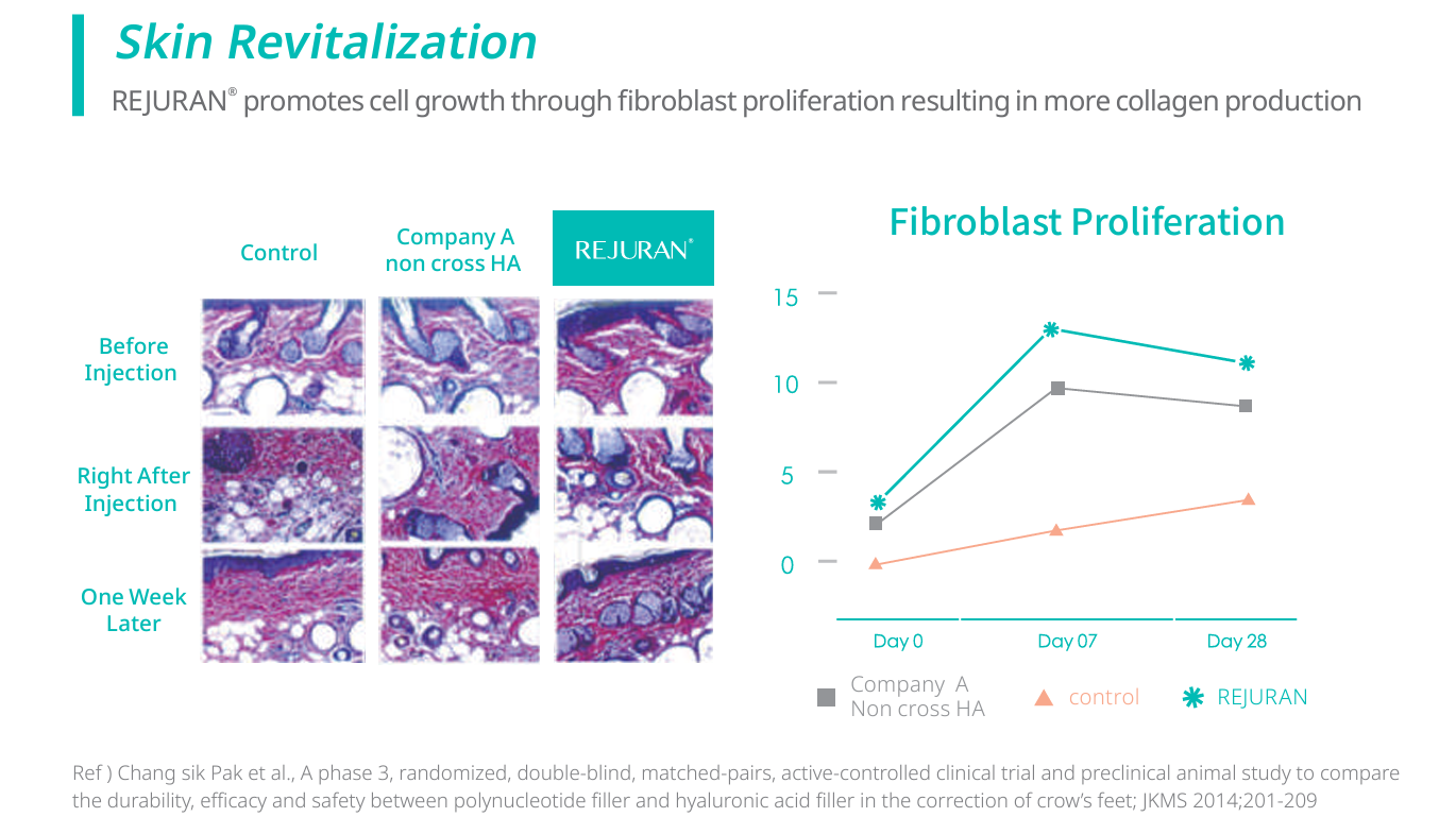 rejuran study revitalisation fibroblasts original (1)
